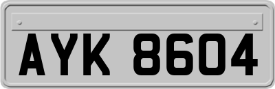 AYK8604