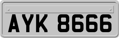 AYK8666