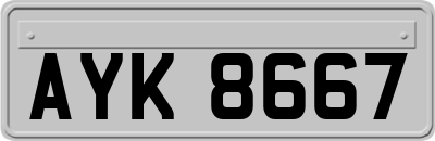 AYK8667