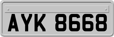 AYK8668