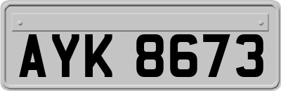AYK8673