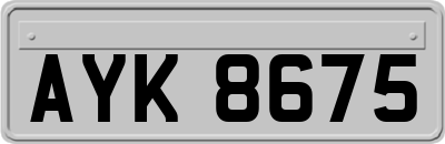 AYK8675