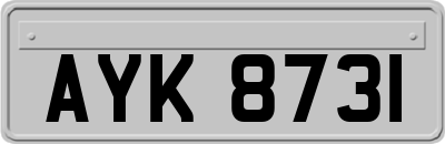 AYK8731