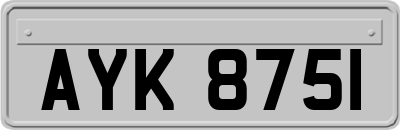AYK8751