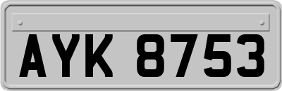 AYK8753