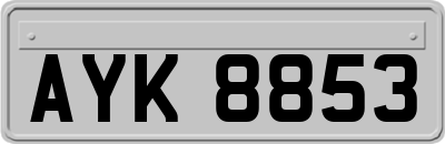 AYK8853