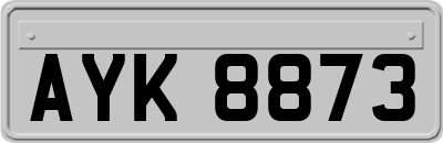 AYK8873