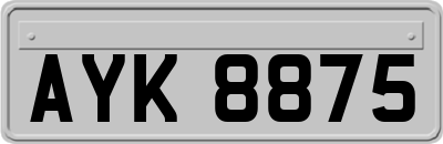 AYK8875