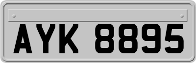 AYK8895