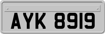AYK8919