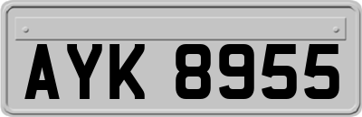 AYK8955