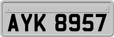 AYK8957