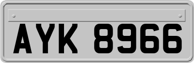 AYK8966