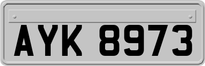 AYK8973