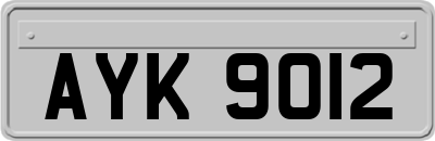 AYK9012