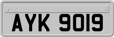 AYK9019