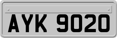 AYK9020