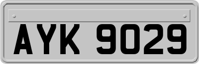 AYK9029