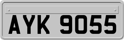 AYK9055