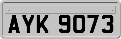 AYK9073