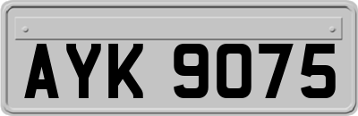 AYK9075