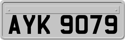 AYK9079