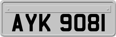 AYK9081