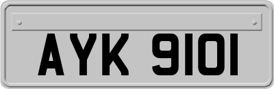 AYK9101