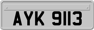 AYK9113