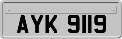AYK9119