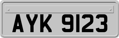 AYK9123