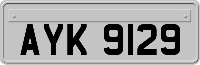 AYK9129