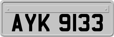 AYK9133