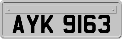 AYK9163