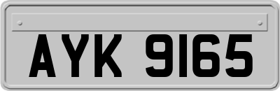 AYK9165