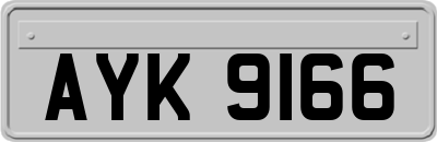 AYK9166