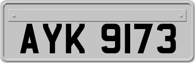 AYK9173