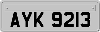 AYK9213