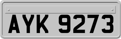 AYK9273