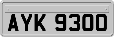 AYK9300