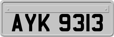 AYK9313
