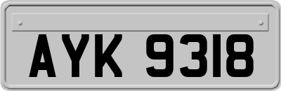 AYK9318