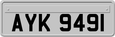 AYK9491