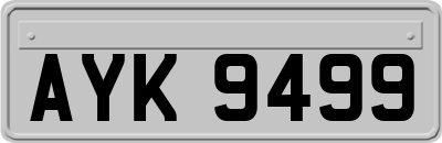 AYK9499