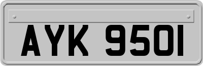AYK9501