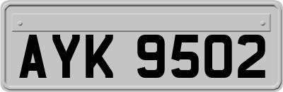 AYK9502