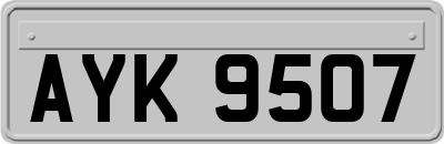 AYK9507