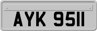 AYK9511
