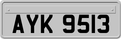 AYK9513