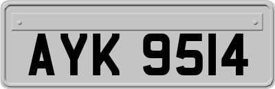 AYK9514